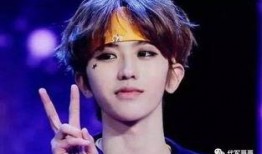 有网友爆料蔡徐坤吗视频,网友爆料背后的真相揭秘